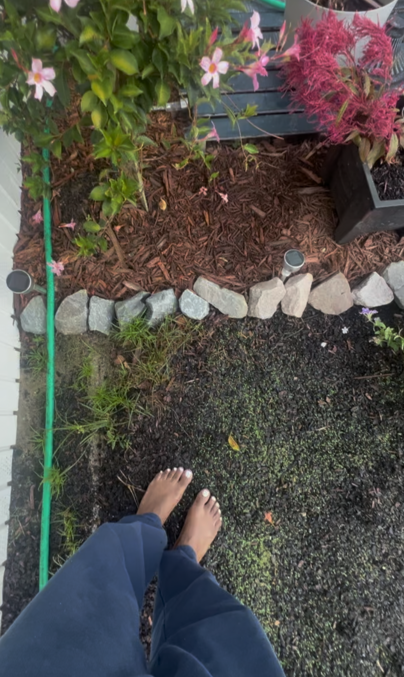 The Unsung Hero of Urban Spaces: Grass